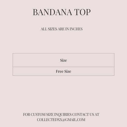 Sitara  Bandana Top